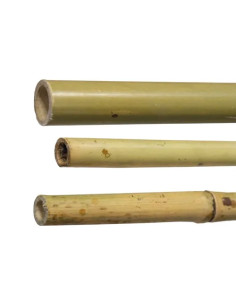 CANNE BAMBU'  - Senza Marca