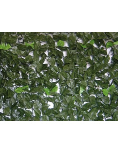 SIEPE EVERGREEN BRIXO LAURO 1X20MT  - Senza Marca