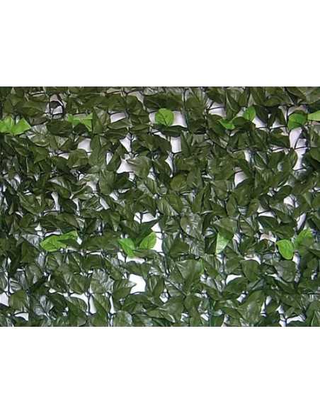 SIEPE EVERGREEN BRIXO LAURO 1X20MT - Senza Marca | Utensili Store
