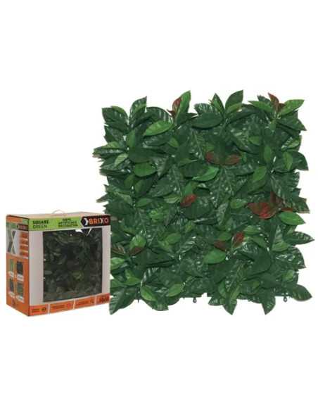 SIEPE SQUAREGREEN BRIXO PLATANO CONF - Senza Marca | Utensili Store