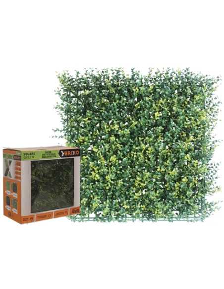 SIEPE SQUAREGREEN BRIXO BOSSO - Senza Marca | Utensili Store