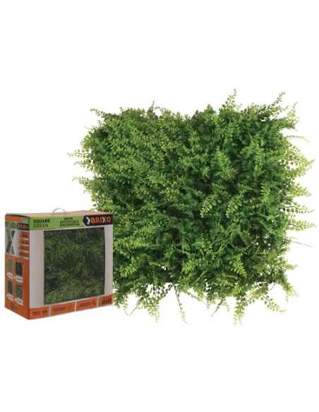 SIEPE SQUAREGREEN BRIXO FELCE CONF - Senza Marca | Utensili Store