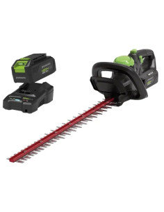 TAGLIASIEPI GREENWORKS 48V KIT G48HTK2  - Senza Marca
