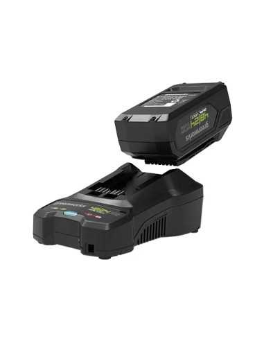 STARTER KIT GREENWORKS 48V 2AH - Senza Marca | Utensili Store