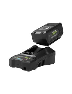 STARTER KIT GREENWORKS 48V 4AH  - Senza Marca