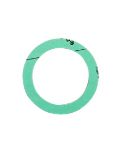 GUARNIZIONI P/RESISTENZA SCALDAB.VITE-RT  - Senza Marca