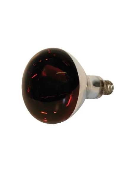 LAMPADE INFRAROSSI 150W VETRO DURO ROSSO - Senza Marca | Utensili Store