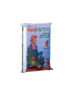 TERRICCIO AMMENDANTE PIANTE GRASSE  - Senza Marca