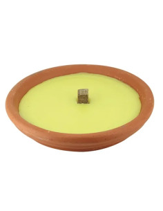 CERI CITRON.IN COCCIO MAXI  - Senza Marca