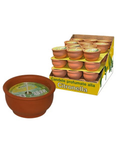 CERI CITRON. COCCIO BIG-BON  - Senza Marca