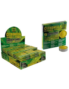 CERI CITRONELLA TEA LIGHT  - Senza Marca