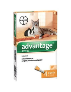 ELANCO ANTIPARASSITARIO ADVANTAGE GATTI
