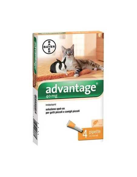 ANTIPARASSITARIO ADVANTAGE GATTI ELANCO - ELANCO | Utensili Store