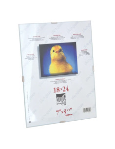 QUADRI A GIORNO - Senza Marca