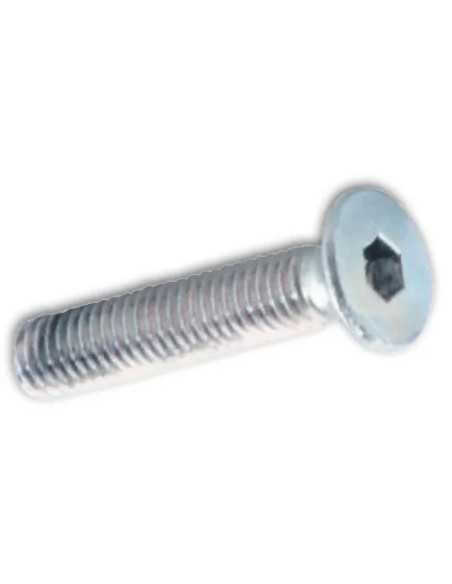 VITI METALLO TP ESAGONO INCASS. 6X30MM ZINCATE - ambrovit | Utensili Store
