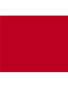 PLASTICA ADESIVA - ALKOR 2