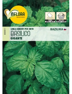 SEMI ORTO BASILICO GIGANTE - Senza Marca