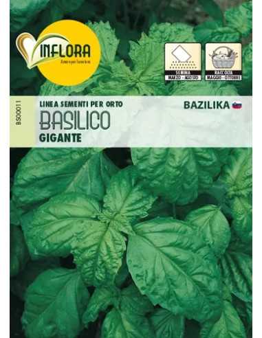 SEMI ORTO BASILICO GIGANTE - Senza Marca | Utensili Store