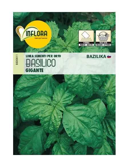 SEMI ORTO BASILICO GIGANTE - Senza Marca | Utensili Store