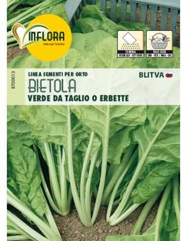 SEMI ORTO BIETOLA VERDE DA TAGLIO O ERBETTA - Senza Marca | Utensili Store