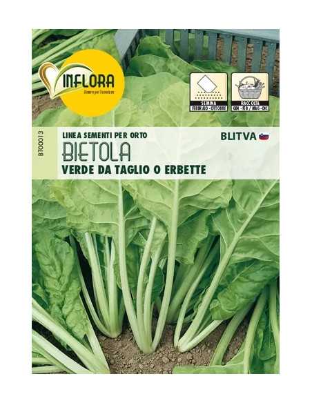 SEMI ORTO BIETOLA VERDE DA TAGLIO O ERBETTA - Senza Marca | Utensili Store