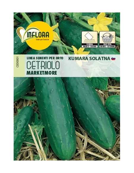 SEMI ORTO 'CETRIOLO MARKETMORE' - Senza Marca | Utensili Store