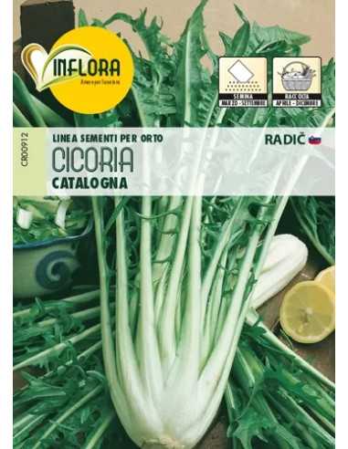 SEMI ORTO "CICORIA CATALOGNA" - Senza Marca | Utensili Store