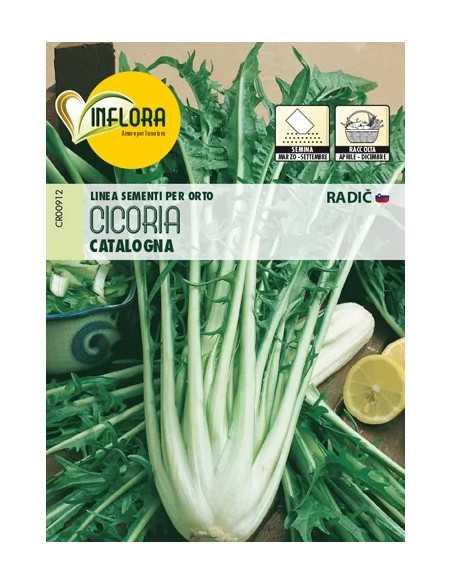 SEMI ORTO "CICORIA CATALOGNA" - Senza Marca | Utensili Store