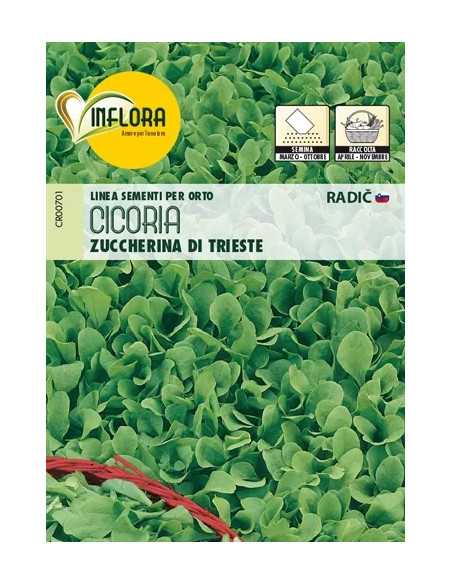 SEMI ORTO CICORIA ZUCCH. TRIESTE - Senza Marca | Utensili Store