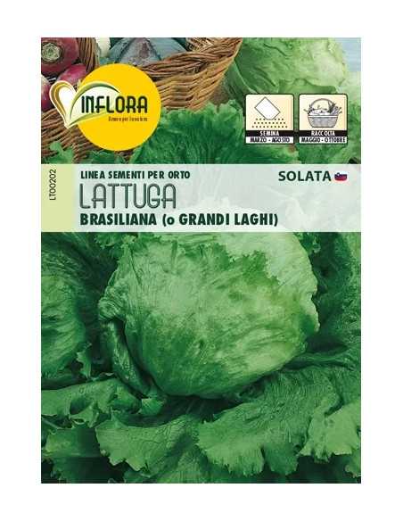 SEMI ORTO LATTUGA BRASILIANA - Senza Marca | Utensili Store