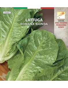 SEMI ORTO LATTUGA ROMANA BIONDA - Senza Marca