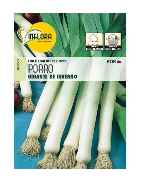 SEMI ORTO PORRO GIGANTE D'INVERNO - Senza Marca | Utensili Store