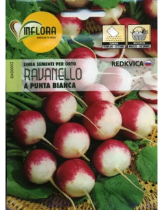SEMI ORTO RAVANELLO A PUNTA BIANCA - CF. BUSTA - Senza Marca
