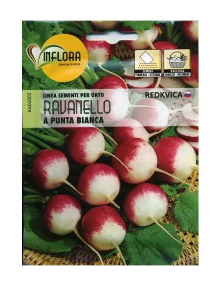 SEMI ORTO RAVANELLO A PUNTA BIANCA - CF. BUSTA - Senza Marca | Utensili Store