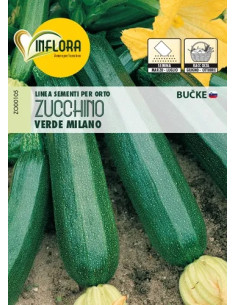 SEMI ORTO ZUCCHINO VERDE MILANO - Senza Marca