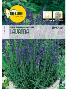 SEMI ERBA AROMATICA LAVANDA - Senza Marca