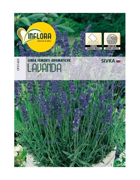 SEMI ERBA AROMATICA LAVANDA - Senza Marca | Utensili Store