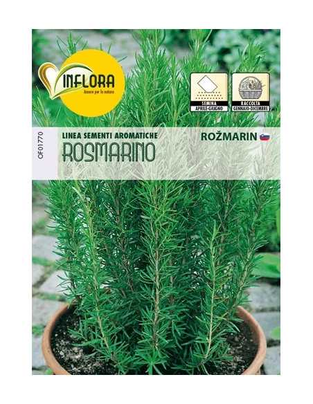 SEMI ERBA AROMATICA ROSMARINO - Senza Marca | Utensili Store