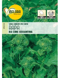 SEMI ORTO RAPA DA CIME SESSANTINA - Senza Marca