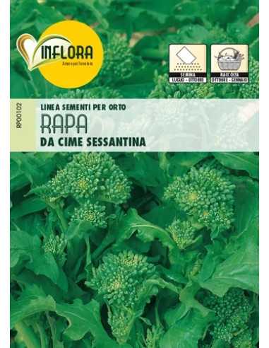 SEMI ORTO RAPA DA CIME SESSANTINA - Senza Marca | Utensili Store