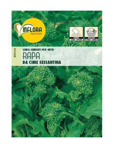 SEMI ORTO RAPA DA CIME SESSANTINA - Senza Marca | Utensili Store