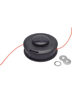 TESTINA X DEC. UNIV.BATTI E VAI PAPILLON - PAPILLON