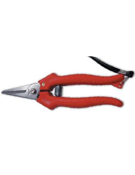 FORBICI COGLIUVA AUSONIA - Senza Marca | Utensili Store