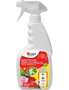 SPRAY INSETTICIDA ANTICOCCINIGLIA  - Senza Marca