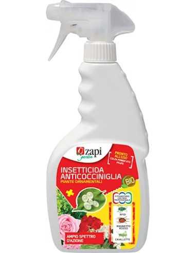 SPRAY INSETTICIDA ANTICOCCINIGLIA - Senza Marca | Utensili Store