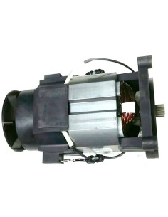 RIC.PAPILLON - IDROPULITRICE MOTORE - PAPILLON