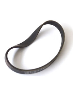 RIC.PAPILLON - RASAERBA CINGHIA - PAPILLON