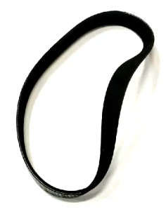 RIC.PAPILLON - RASAERBA CINGHIA - PAPILLON 2