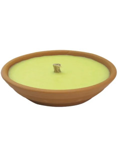 CITRONELLA IN COCCIO PAPILLON - PAPILLON