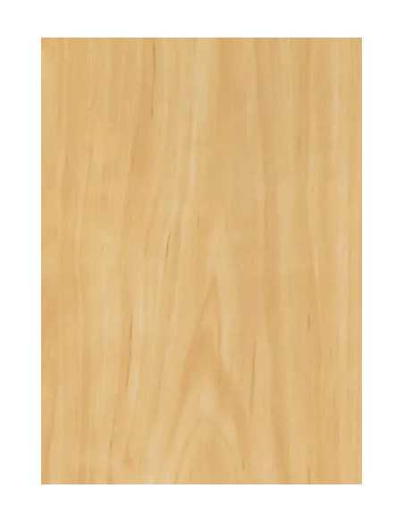 PLASTICA ADESIVA H45CM 20MT MAURER - MAURER | Utensili Store